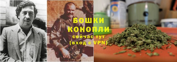 СК Аркадак