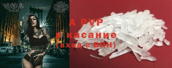 СК Аркадак