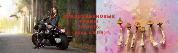 СК Аркадак