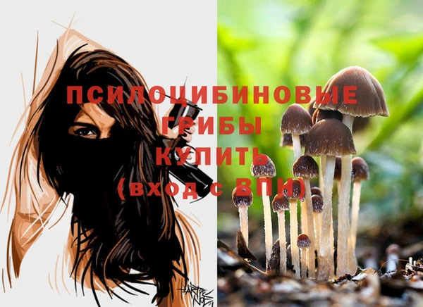 СК Аркадак